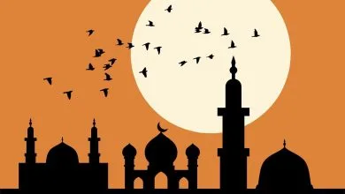 লাল আকাশে উড়ন্ত পাখির সাথে মসজিদ ও মিনার